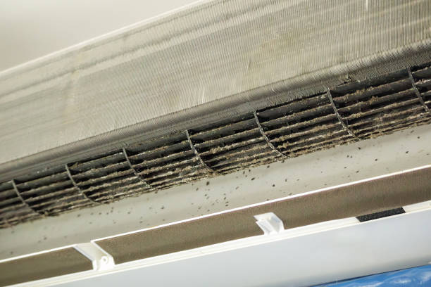 Best Affordable Duct Cleaning Services  in Reynoldsville, PA